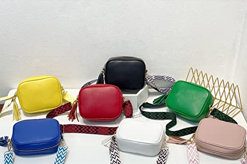 Simple design camera handbag with adjustable/removable strap