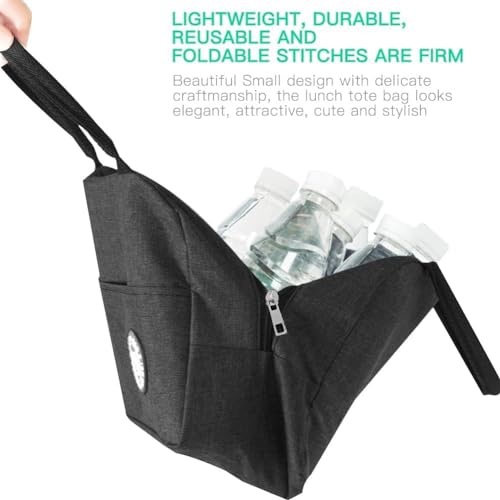Designer Insulated Lunch Tote Bag for Women, Men