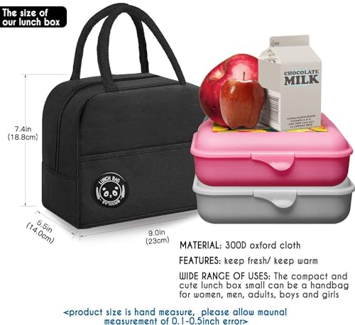 Designer Insulated Lunch Tote Bag for Women, Men