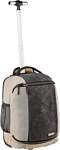 Convertible Designer Handbag: Bronze Backpack/Trolley Combo, 30L