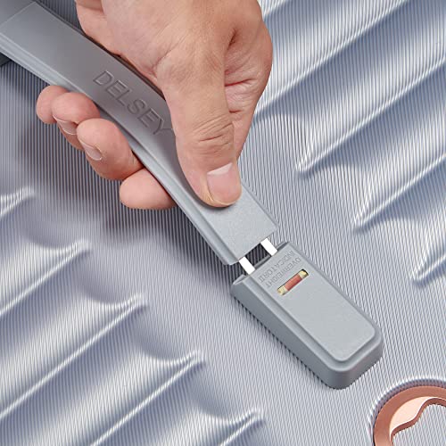 Platinum Designer Handbag: Delsey Paris Cruise 3.0