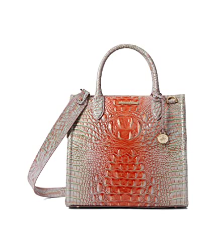 BRAHMIN Ombre Caroline Satchel - Flirty Designer Handbag