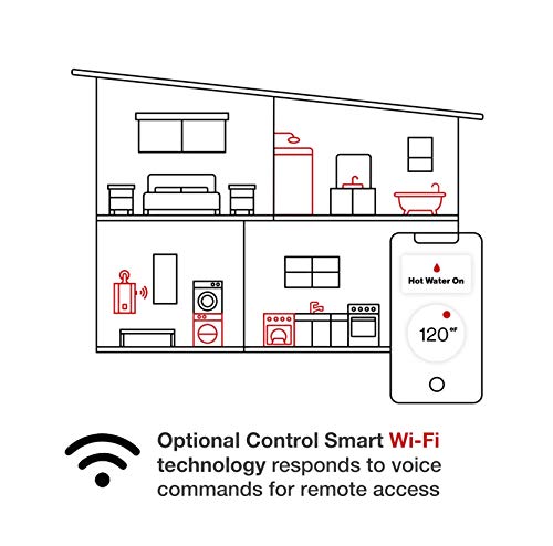 Rinnai RL94IN Tankless Hot Water Heater, Natural Gas
