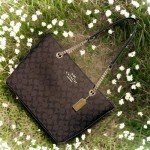 COACH Women's Cammie Leather Chain Tote in Brown/Black
