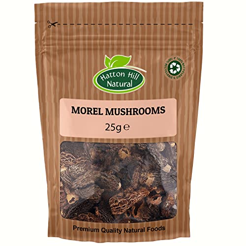 Dried Whole Morel Mushrooms 25g - A Premium Quality by Hatton Hill