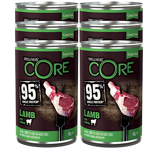 Wellness CORE 95% Lamb & Pumpkin, Wet Dog Food, Grain Free Wet Dog Food, High Meat Content, Lamb & Pumpkin, 6 x 400 g