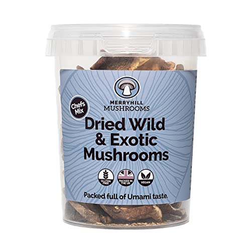 Merryhill Mushrooms - Dried Wild & Exotic Mushrooms (Porcini, Chanterelle, Shiitake, Oyster) (35g)