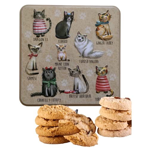 Embossed Biscuit Tin Gift Set | Stem Ginger & Lemon and Clotted Cream Chocolate Chip Shortbread Biscuit Gift | Valentines Day, Birthday Gift, Thank You Gifts | Mothers Day (Cats in Jumper)