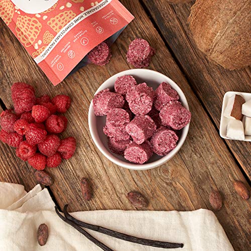 Nourish Organic Raspberry Coconut Macaroons, Vegan, Gluten Free, Dairy Free, Keto Snacks, 110g Pack