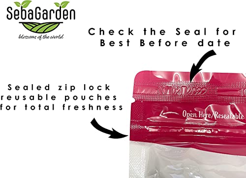 Seba Garden Premium Smoked Spiced Mixed Nuts 500g, In-Shell Pistachio, Roasted Almond, Roasted Cashew, Non-GMO, Gluten Free, Vegan, Keto and Paleo Friendly Perfect Healthy Snacks, Resealable Package