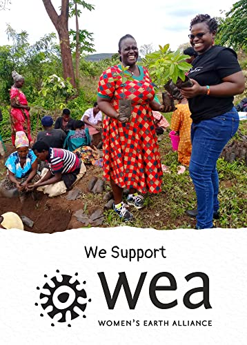 Abakus Seaweed Crisps - Salt & Vinegar 12 x 18g, Seaweed Snack, Nori Snack, Vegan, Gluten-Free, Healthy Snack, Source of Iodine