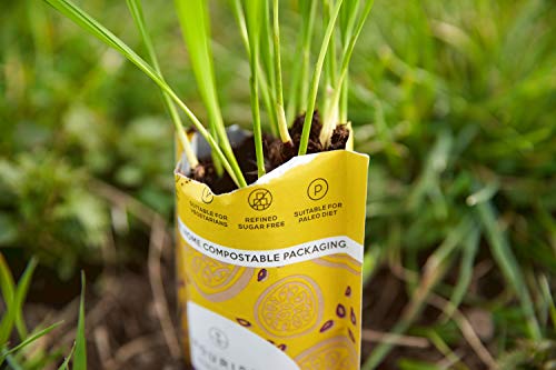 Nourish Organic Cacao Coconut Macaroons - Keto Snacks - Vegan, Gluten Free, Dairy Free Healthy Snacks Made with Natural Ingredients - 140g (Pack of 1)