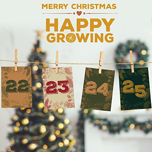 Gardening Gifts Advent Calendar 2023: 25 Premium Vegetable, Salad and Herb Seeds with Hessian Sack for Storing, Great for Adults, Kids and the Family