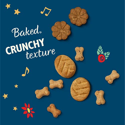 Lily's Kitchen Dog Christmas Advent Calendar 100g