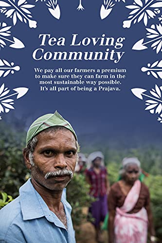 English Tea Shop Book Style Christmas Night Advent Calendar | 25 Pyramid Tea Bags | 50g