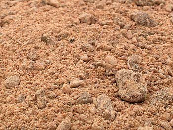 Choc/Chocolate Lick - 200g pack