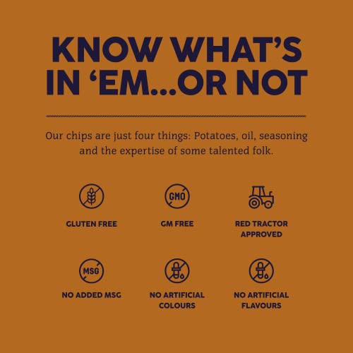 Burts Devon Roast Beef Hand Cooked Burts Crisps - 20 x 40 g Multipack Box - Gluten Free, Hydrogenated Fat Free, Non-GMO - Devon Roast Beef Burts Potato Chips