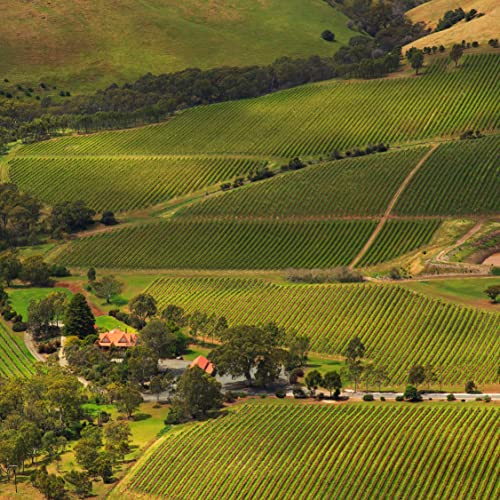 Jacob's Creek Double Barrel Matured Shiraz Red Wine, 75 cl