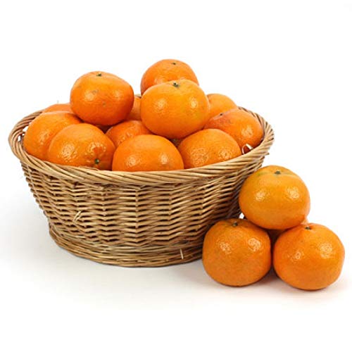 Orange Fruit Basket - Fruit Gift Baskets and Gift Hampers with Next Day UK delivery with Personal Message Attached