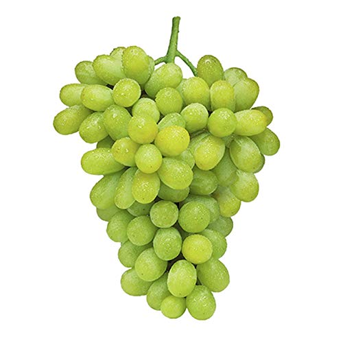 Fresh Fruit & Muffin Hamper