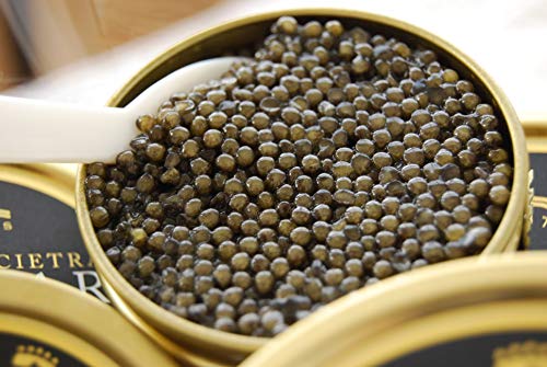 Attilus Royal Oscietra Caviar 30g