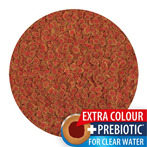 Tetra Pro Colour Multi-Crisps - Premium fish food with colour concentrate for brightly colourful Fish, 250ml