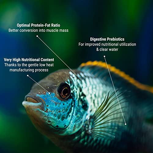 Tetra Pro Colour Multi-Crisps - Premium fish food with colour concentrate for brightly colourful Fish, 250ml