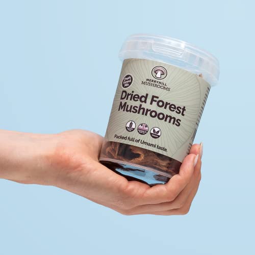 Merryhill Mushrooms - Dried Forest Mushrooms (Porcini, Chanterelle, Woodear Mushrooms) (35g)