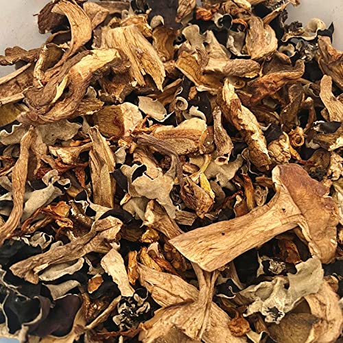 Merryhill Mushrooms - Dried Forest Mushrooms (Porcini, Chanterelle, Woodear Mushrooms) (35g)