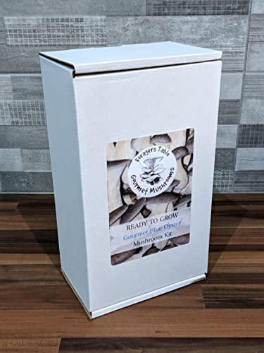 Mushroom Grow kit - Ready to Grow Blue Oyster Mushroom kit, (Pleurotus ostreatus) Foragers Table