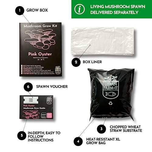 Urban Farm-It - Mushroom Growing Kit, XL Pink Oyster (Pleurotus Djamor), Easy to Use and Fast Growing, Includes Voucher to Claim Living Spawn Separately for Better Yield and Gifting