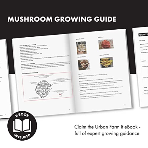 Urban Farm-It - Mushroom Growing Kit, XL Pink Oyster (Pleurotus Djamor), Easy to Use and Fast Growing, Includes Voucher to Claim Living Spawn Separately for Better Yield and Gifting