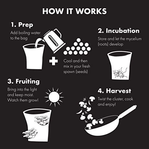 Urban Farm-It - Mushroom Growing Kit, XL Pink Oyster (Pleurotus Djamor), Easy to Use and Fast Growing, Includes Voucher to Claim Living Spawn Separately for Better Yield and Gifting