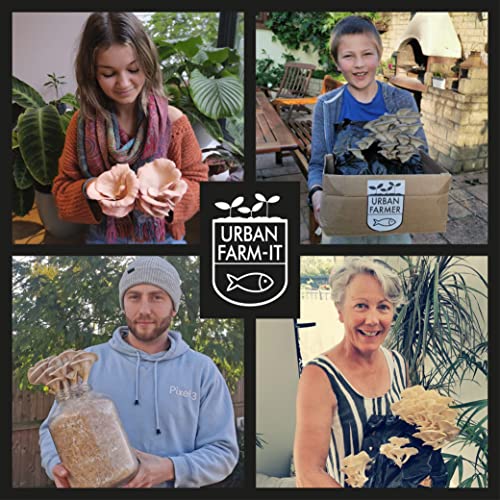 Urban Farm-It - Mushroom Growing Kit, XL Pink Oyster (Pleurotus Djamor), Easy to Use and Fast Growing, Includes Voucher to Claim Living Spawn Separately for Better Yield and Gifting