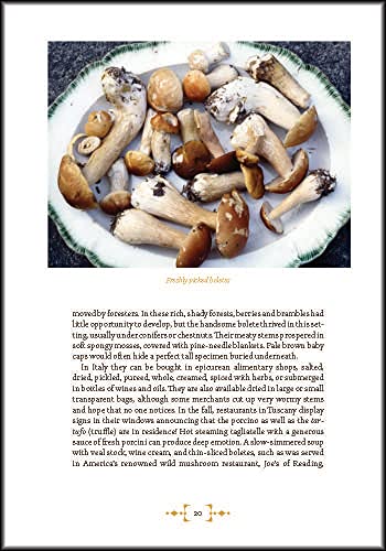 Mushroom Foraging and Feasting: Advice, Recipes, and Stories from a Lifetime on the Hunt: Recollections and Recipes From a Lifetime on the Hunt