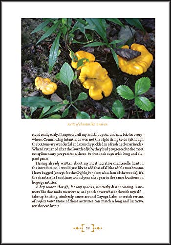 Mushroom Foraging and Feasting: Advice, Recipes, and Stories from a Lifetime on the Hunt: Recollections and Recipes From a Lifetime on the Hunt
