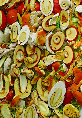 Mushroom Foraging and Feasting: Advice, Recipes, and Stories from a Lifetime on the Hunt: Recollections and Recipes From a Lifetime on the Hunt