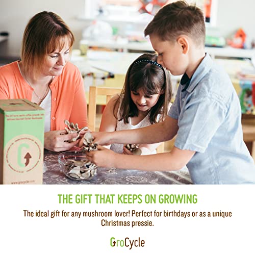 GroCycle Oyster Mushroom Growing Kit | Gardening Gifts - Grow Your Own Mushrooms Kit | | Fun to Grow & Delicious to Eat | Ready to Cook in 14 Days