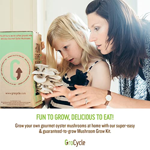 GroCycle Oyster Mushroom Growing Kit | Gardening Gifts - Grow Your Own Mushrooms Kit | | Fun to Grow & Delicious to Eat | Ready to Cook in 14 Days