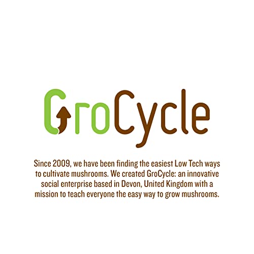 GroCycle Oyster Mushroom Growing Kit | Gardening Gifts - Grow Your Own Mushrooms Kit | | Fun to Grow & Delicious to Eat | Ready to Cook in 14 Days