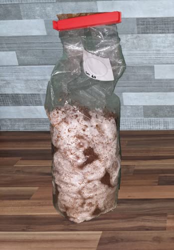 Mushroom Grow Straw Substrate Premium Quality Pellets 1Kg - Foragers Table