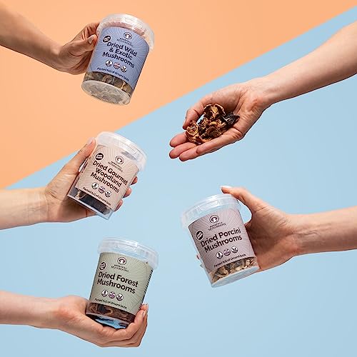 Merryhill Mushrooms - Dried Gourmet Woodland Mushrooms (Porcini Mushrooms, Slippery Jack Mushrooms, Oyster Mushrooms and Black Trumpet Mushrooms) (35g)