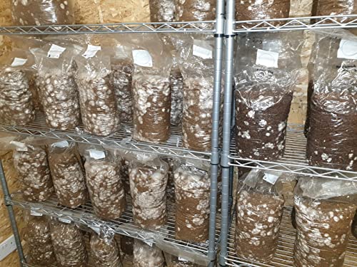 Mushroom Grow Hard Wood Substrate Premium Quality Pellets - Foragers Table