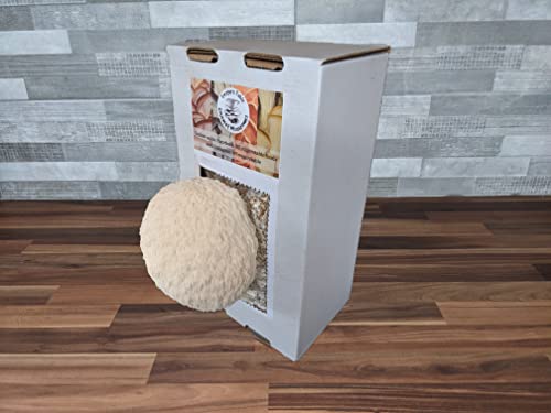 Lions Mane Mushroom Growing kit - Ready to Grow Mushroom kit, (Hericum erinaceus) Foragers Table
