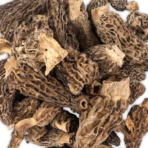 Morel Mushrooms Dried 25 g Bag