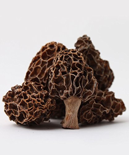 Dried Whole Morel Mushrooms 20g - A Premium Quality by Hatton Hill