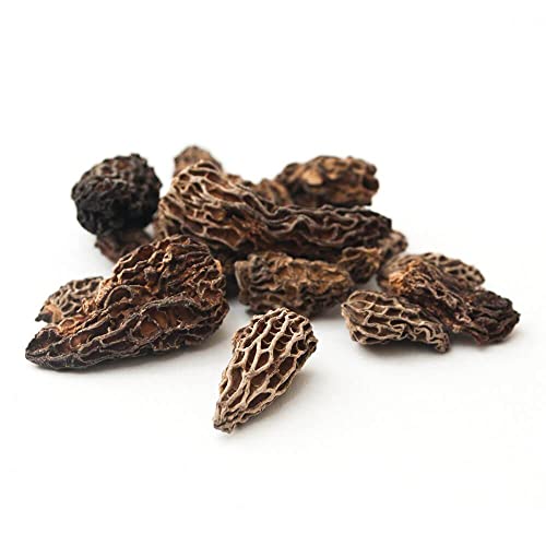 Dried Morel Mushrooms 20g by Manor Springs
