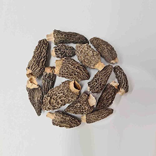 Dried Whole Morel Mushrooms by Busy Beans (100g)