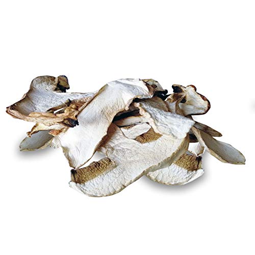 Porcini Mushroom Dried 1st Quality Packaged in Italy - 20g/0,04lb/0,7oz