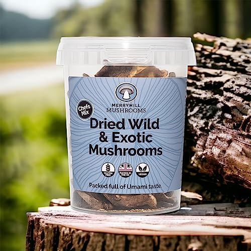 Merryhill Mushrooms - Dried Wild & Exotic Mushrooms (Porcini, Chanterelle, Shiitake, Oyster) (35g)